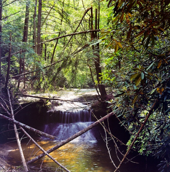 A Trail called Swift Camp Creek - 01 - Creation Falls.jpg